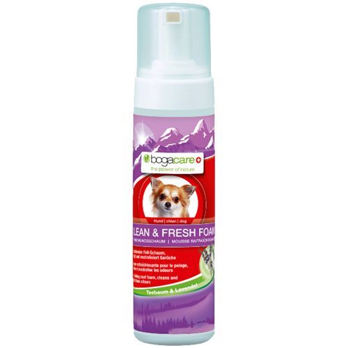 bogacare CLEAN & FRESH FOAM Hund, 150 ML