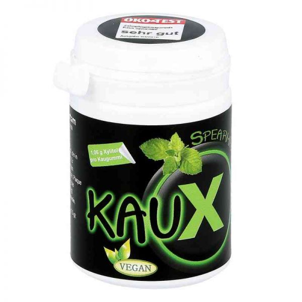 Kaux Zahnpflegekaugummi Spearmint mit Xylitol (40 stk)