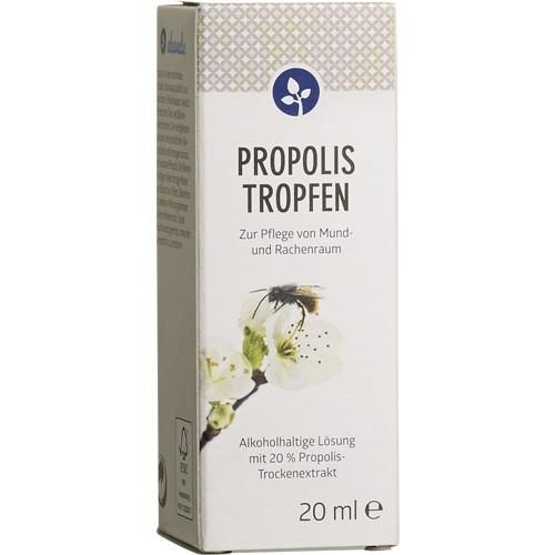 PROPOLIS Tinktur 20%, 20 ML