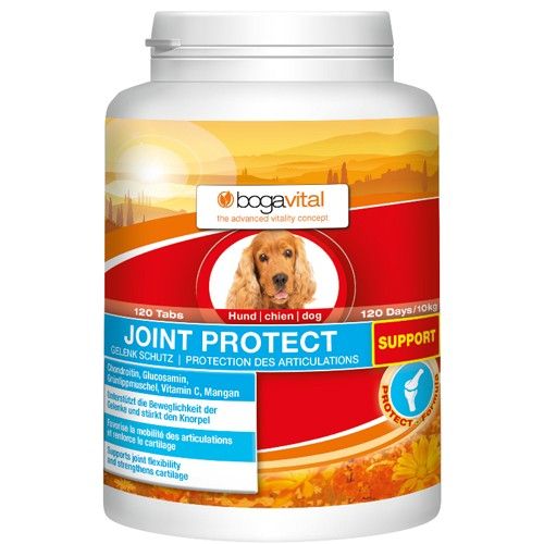 bogavital JOINT PROTECT SUPPORT Hund, 120 ST