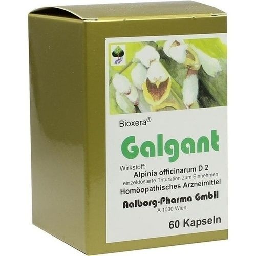 Galgant, 60 ST