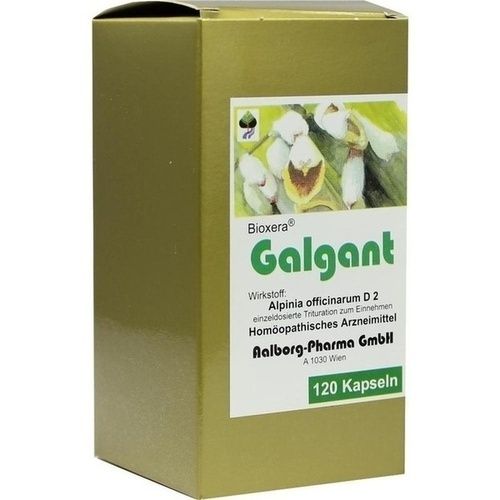 Galgant, 120 ST