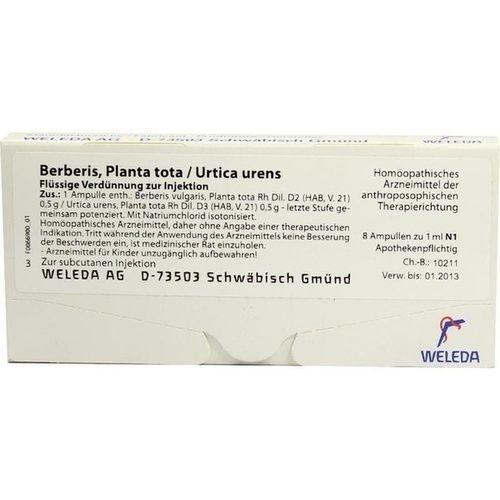 BERBERIS PLANTA TOTA UR UR, 8X1 ML