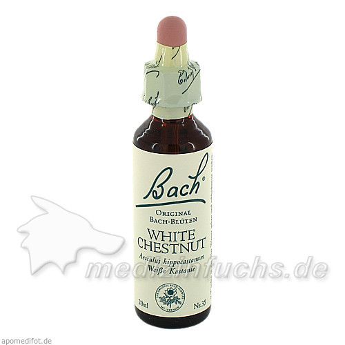 Bach-Blüte White Chestnut, 20 ML