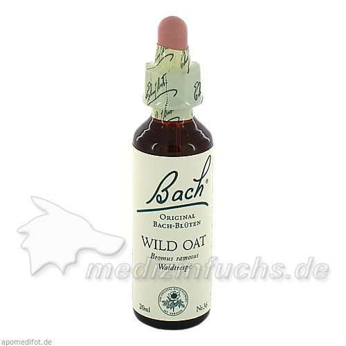 Bach-Blüte Wild Oat, 20 ML