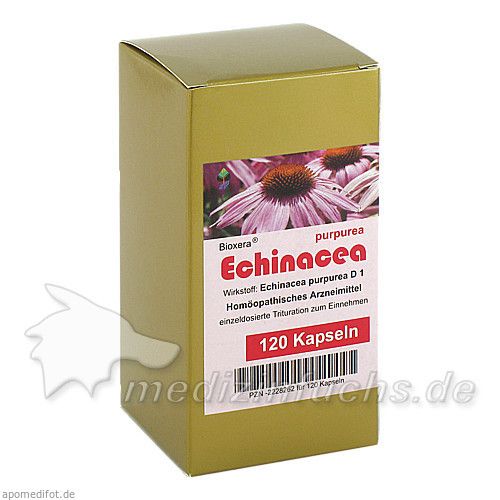 Echinacea, 120 ST