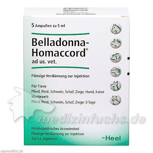 BELLADONNA HOMACCORD ad us.vet.Ampullen, 5 ST