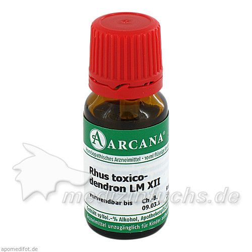 RHUS TOXICODENDRON LM 12, 10 ML