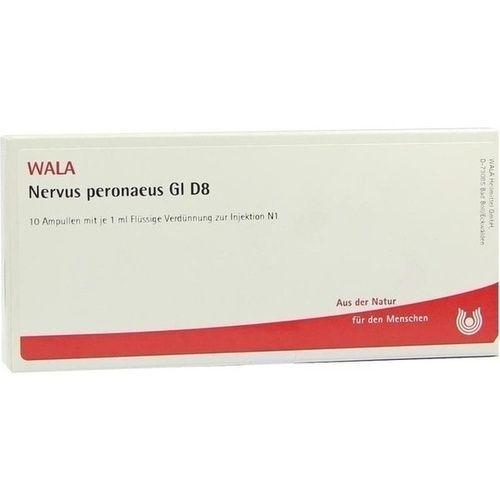 NERVUS PERONAEUS GL D 8, 10X1 ML