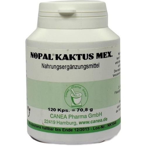 Nopal-Kaktus mex., 120 ST