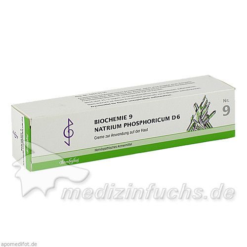 Biochemie 9 Natirum phosphoricum D 6, 100 ML