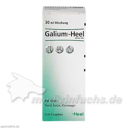 GALIUM COMP.-Heel ad us.vet.Tropfen, 30 ML