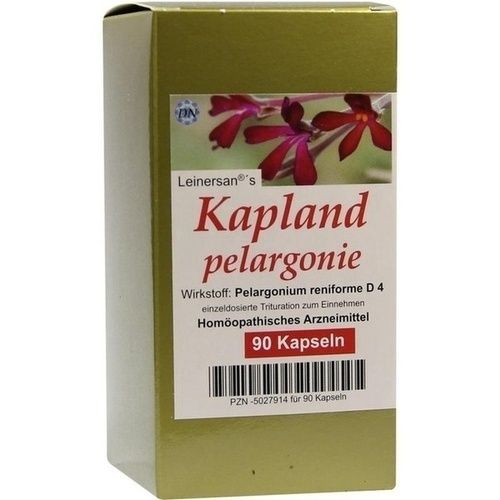 Kaplandpelargonie, 90 ST