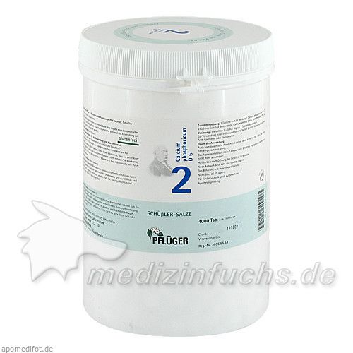 Biochemie Pflüger Nr. 2 Calcium phosphoricum D 6, 4000 ST