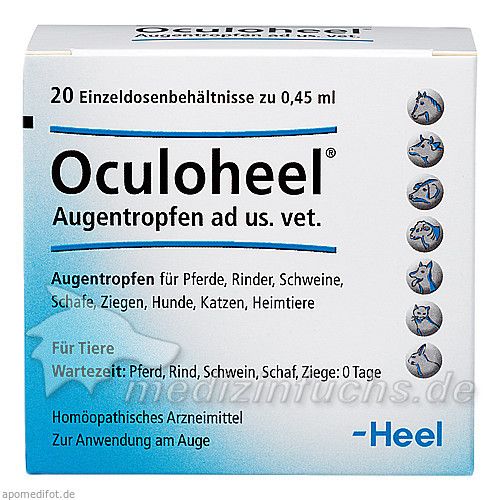 OCULOHEEL Augentropfen ad us.vet.Einzeldosispip., 20 ST