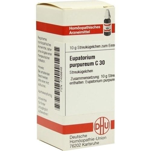 EUPATORIUM PURPUR C30, 10 G