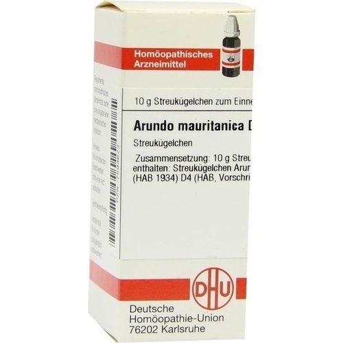 ARUNDO MAURITANICA D 4, 10 G