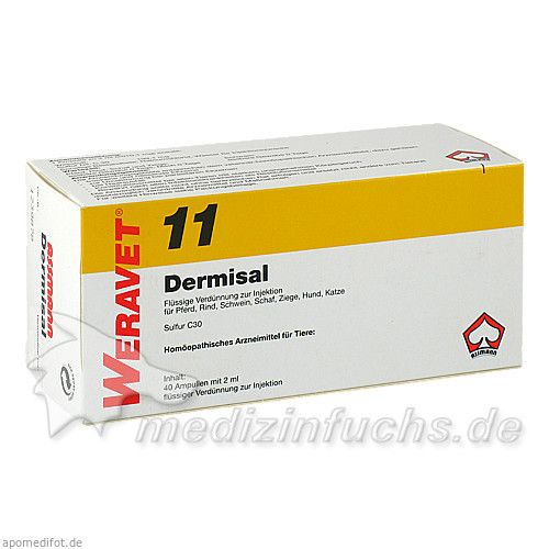 DERMISAL 11 Ampullen vet., 4X10X2 ML