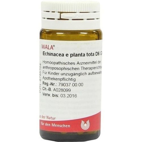 ECHINACEA E PL TOTA D 6, 20 G