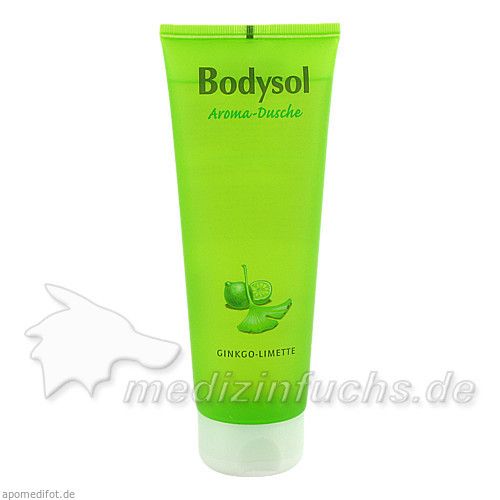 Bodysol Aroma-Duschgel Ginkgo-Limette, 250 ML