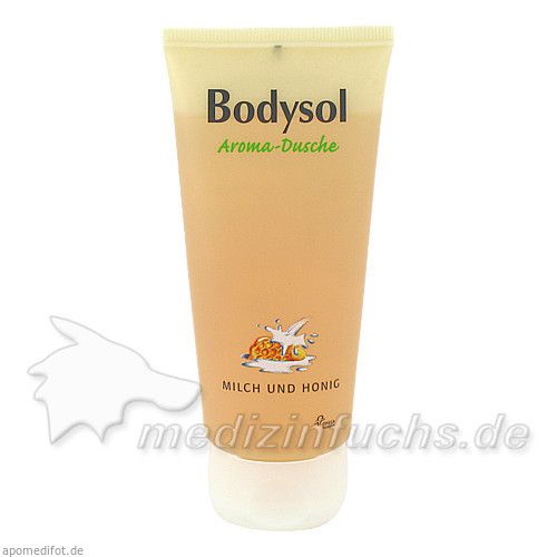 Bodysol Aroma-Duschgel Milch und Honig, 100 ML